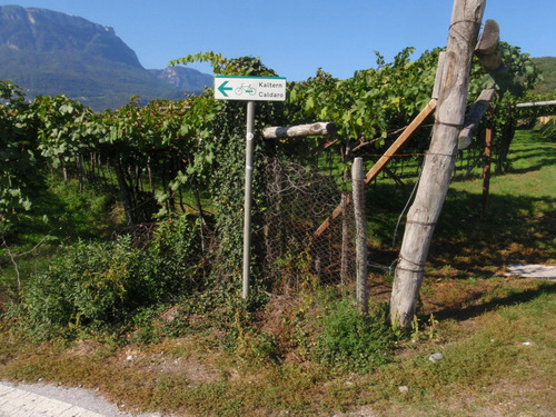 Strada del Vino.